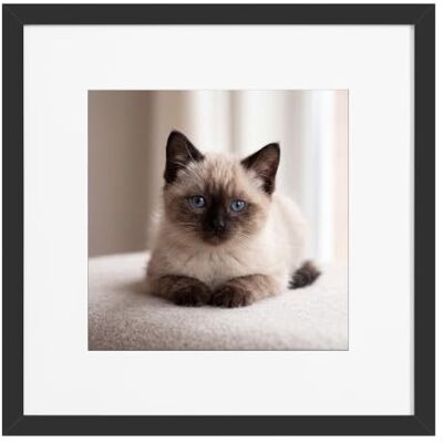 SONGMICS Marco de Fotos, Picture Frame, 32 x 32 cm Portafotos, MDF y PVC, Marcos para Cuadros de Pared, Regalo para Madre, Negro, RPF085BZ01 SONGMICS Marco de Fotos, Picture Frame, 32 x 32 cm Portafotos, MDF y PVC, Marcos para Cuadros de Pared, Regalo para Madre, Negro, RPF085BZ01