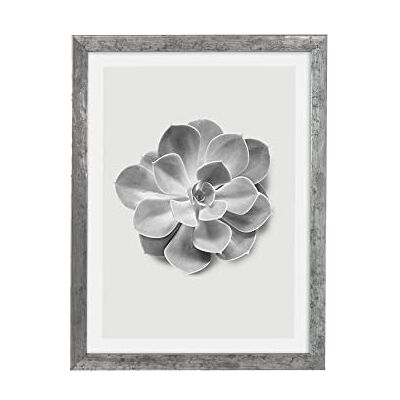 Komar Marco de fotos de madera con póster Succulent Aeonium como set Tamaño: 30 x 40 cm Mural, decoración, flor, blanco y negro Komar Marco de fotos de madera con póster Succulent Aeonium como set Tamaño: 30 x 40 cm Mural, decoración, flor, blanco y negro