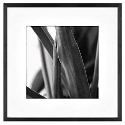 MCS Gallery Marco de pared (30,5 x 30,5 cm, mate a 20,3 x 20,3 cm), color negro MCS Gallery Marco de pared (30,5 x 30,5 cm, mate a 20,3 x 20,3 cm), color negro