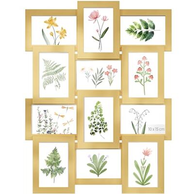 SONGMICS Collage de Marco de Fotos, 12 Marcos para Fotos 10 x 15 cm, Marcos de fotos para Pared, Marcos Múltiples, Decoración de pared, Dorado Pálido RPF026A01 SONGMICS Collage de Marco de Fotos, 12 Marcos para Fotos 10 x 15 cm, Marcos de fotos para Pared, Marcos Múltiples, Decoración de pared, Dorado Pálido RPF026A01