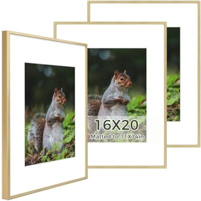 3 marcos de fotos, metal, 40,6 x 50,8 cm, con paspartú, fotos de 28 cm x 35,6 cm/pósteres de 40,6 x 50,8 cm, aluminio, cristal auténtico, mural fotográfico, dorado 3 marcos de fotos, metal, 40,6 x 50,8 cm, con paspartú, fotos de 28 cm x 35,6 cm/pósteres de 40,6 x 50,8 cm, aluminio, cristal auténtico, mural fotográfico, dorado