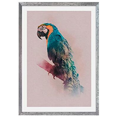 Komar Marco de fotos de madera de piedra plateado con póster artístico Animals Paradise Parrot como set Tamaño: 50 x 70 cm Mural, decoración, loro, pájaro Komar Marco de fotos de madera de piedra plateado con póster artístico Animals Paradise Parrot como set Tamaño: 50 x 70 cm Mural, decoración, loro, pájaro