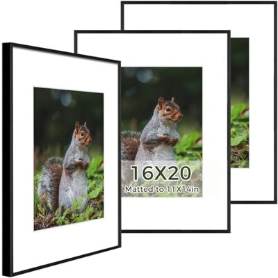 , Marco metálico de aluminio de 16 x 20 pulgadas con paspartú marfil para fotos de 11 x 14 pulgadas, incluye ganchos de dientes de sierra y clips de resorte, montaje en pared, cristal , Marco metálico de aluminio de 16 x 20 pulgadas con paspartú marfil para fotos de 11 x 14 pulgadas, incluye ganchos de dientes de sierra y clips de resorte, montaje en pared, cristal