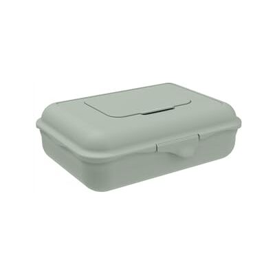 Rotho Babydesign Caja para toallitas húmedas (1,25 L), color verde Rotho Babydesign Caja para toallitas húmedas (1,25 L), color verde