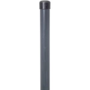 Alberts Poste para Fix-Clip pro para fijación con tacos de impacto galvanizado, plastificado antracita (RAL 7016) longitud 1750 mm abrazadera Ø 34 mm Alberts Poste para Fix-Clip pro para fijación con tacos de impacto galvanizado, plastificado antracita (RAL 7016) longitud 1750 mm abrazadera Ø 34 mm