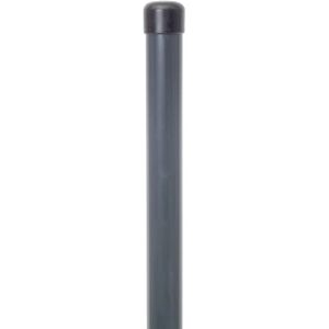 Alberts Poste para Fix-Clip pro para fijación con tacos de impacto galvanizado, plastificado antracita (RAL 7016) longitud 2000 mm Ø pinza 34 mm Alberts Poste para Fix-Clip pro para fijación con tacos de impacto galvanizado, plastificado antracita (RAL 7016) longitud 2000 mm Ø pinza 34 mm