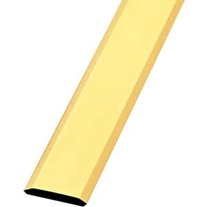 Amig Tapajuntas para Suelo 720 mm x 34 mm Tira de Transición Liso y con Fijación Adhesiva Cubrecantos para Uniones de Madera, Parquet, Tarima, Mármol y Azulejo Latón Color Dorado Amig Tapajuntas para Suelo 720 mm x 34 mm Tira de Transición Liso y con Fijación Adhesiva Cubrecantos para Uniones de Madera, Parquet, Tarima, Mármol y Azulejo Latón Color Dorado