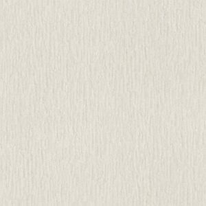 Rasch - Trianon XIII 570045 - Gris - Liso - Wallpaper Rasch - Trianon XIII 570045 - Gris - Liso - Wallpaper