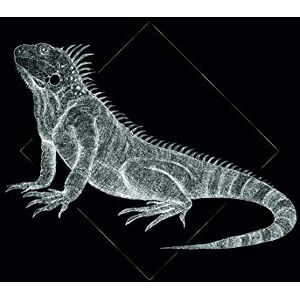 KOMAR Iguana Black - Póster de Animales - 70cm x 50cm KOMAR Iguana Black - Póster de Animales - 70cm x 50cm