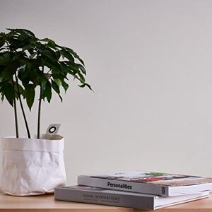 A.S. Création Maison Charme Papel pintado no tejido, 10,05 m x 0,53 m, color crema A.S. Création Maison Charme Papel pintado no tejido, 10,05 m x 0,53 m, color crema