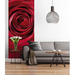 'Komar Sunny Decor – Fotografía mural"Red Rose, 1 pieza, multicolor, SD1010