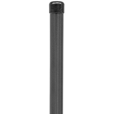 Alberts Poste para Fix-Clip pro, para fijar con tacos de impacto, galvanizado, recubierto de plástico antracita-metálico, longitud 1750 mm, Ø pinza 34 mm Alberts Poste para Fix-Clip pro, para fijar con tacos de impacto, galvanizado, recubierto de plástico antracita-metálico, longitud 1750 mm, Ø pinza 34 mm