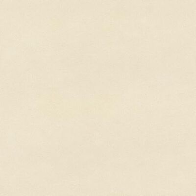 Rasch Papel pintado Papel pintado (10,05 x 0,53 m, diseño de grano fino, 10,05 x 0,53 m) Rasch Papel pintado Papel pintado (10,05 x 0,53 m, diseño de grano fino, 10,05 x 0,53 m)