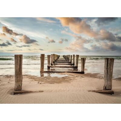 Rasch Magicwalls Papel pintado fotográfico (fieltro, 2,65 m x 3,71 m), color beige y azul Rasch Magicwalls Papel pintado fotográfico (fieltro, 2,65 m x 3,71 m), color beige y azul