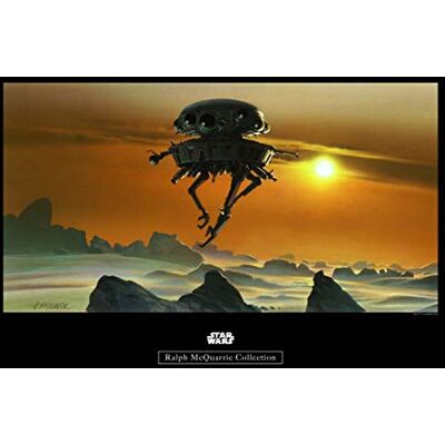 Komar Wandbild Von Star Wars Classic RMQ Hoth Probe Droid Kinderzimmer, Jugendzimmer, Dekoration, Kunstdruck ohne Rahmen fotomural, carbón Komar Wandbild Von Star Wars Classic RMQ Hoth Probe Droid Kinderzimmer, Jugendzimmer, Dekoration, Kunstdruck ohne Rahmen fotomural, carbón