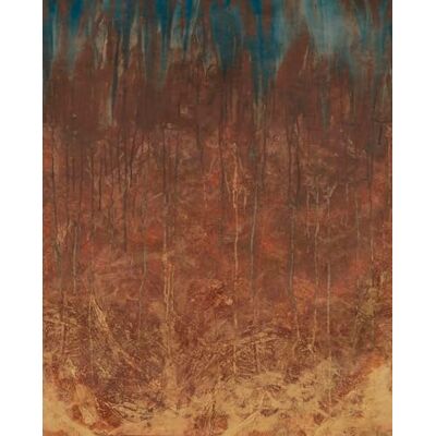 Rasch Magicwalls Papel pintado fotográfico sobre fieltro con pared de metal oxidado en color marrón de la colección Magicwalls 2,65 m x 2,12 m (largo x ancho) Rasch Magicwalls Papel pintado fotográfico sobre fieltro con pared de metal oxidado en color marrón de la colección Magicwalls 2,65 m x 2,12 m (largo x ancho)