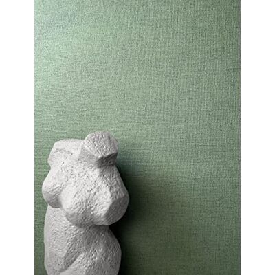 Newroom Papel Pintado Verde Liso Efecto Lino Metalizado Comedor Salvia intensa con destello elegante, textura tejida fina, no tejido TNT, salón, pasillo, aire natural sofisticado Newroom Papel Pintado Verde Liso Efecto Lino Metalizado Comedor Salvia intensa con destello elegante, textura tejida fina, no tejido TNT, salón, pasillo, aire natural sofisticado