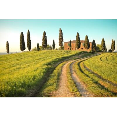 A.S. Création Papel Pintado Toscana 3,75 m x 2,50 m WALLLOVE Papel Pintado Campo con árboles en verde, marrón, azul incluida la cola A.S. Création Papel Pintado Toscana 3,75 m x 2,50 m WALLLOVE Papel Pintado Campo con árboles en verde, marrón, azul incluida la cola