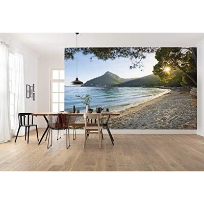 Komar Lonely Paradise Papel pintado fotográfico (fieltro, XXL, decoración, paisaje, dormitorio, salón, oficina, pasillo, 450 x 280 cm), multicolor Komar Lonely Paradise Papel pintado fotográfico (fieltro, XXL, decoración, paisaje, dormitorio, salón, oficina, pasillo, 450 x 280 cm), multicolor