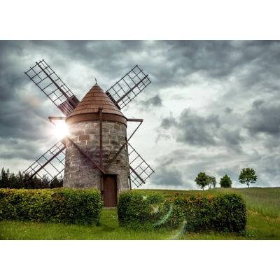 Rasch Magicwalls Papel pintado fotográfico sobre fieltro con molino de viento en verde y gris de la colección Magicwalls 2,65 m x 3,71 m (largo x ancho) Rasch Magicwalls Papel pintado fotográfico sobre fieltro con molino de viento en verde y gris de la colección Magicwalls 2,65 m x 3,71 m (largo x ancho)