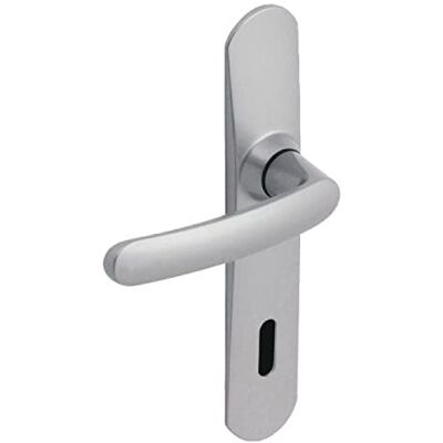 Vachette Juego de manija de puerta en placa grande SLIM – Versión llave I para puerta de entrada – Distancia entre ejes 195 mm – Sistema de colocación fácil – 10 años – Zamak resistente, acabado Vachette Juego de manija de puerta en placa grande SLIM – Versión llave I para puerta de entrada – Distancia entre ejes 195 mm – Sistema de colocación fácil – 10 años – Zamak resistente, acabado