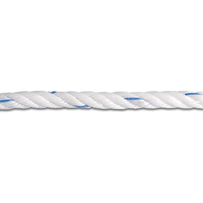 Chapuis – Bobina de cuerda de polipropileno trenzado (2 T diámetro 12 mm x 75 m blanco/azul Chapuis – Bobina de cuerda de polipropileno trenzado (2 T diámetro 12 mm x 75 m blanco/azul