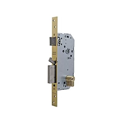 tesa Assa Abloy T67T Cerradura De Seguridad Monopunto de Embutir Para Puertas Latonado Cilindro 30 x 40 mm tesa Assa Abloy T67T Cerradura De Seguridad Monopunto de Embutir Para Puertas Latonado Cilindro 30 x 40 mm