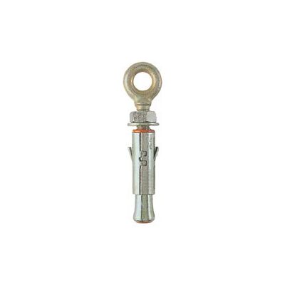 BRICO DEA - anclaje con ojo 'slm' slm 12O - ø 20x75 mm - tornillo M12x96 mm BRICO DEA - anclaje con ojo 'slm' slm 12O - ø 20x75 mm - tornillo M12x96 mm