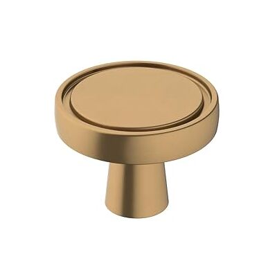 Amerock Pomo de gabinete Bronce champán 1-3/8 pulgadas (35 mm) de diámetro Destine 1 paquete Pomo de cajón Herrajes para gabinete Amerock Pomo de gabinete Bronce champán 1-3/8 pulgadas (35 mm) de diámetro Destine 1 paquete Pomo de cajón Herrajes para gabinete