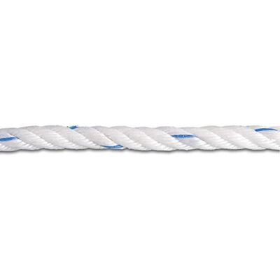 Chapuis – Bobina de cuerda de polipropileno trenzado (3,9 T diámetro 16 mm x 38 m blanco/azul Chapuis – Bobina de cuerda de polipropileno trenzado (3,9 T diámetro 16 mm x 38 m blanco/azul