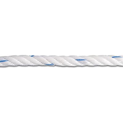 Chapuis Bobina de cuerda de polipropileno trenzado (5,6 t Ø 20 mm x 70 m blanco/azul Chapuis Bobina de cuerda de polipropileno trenzado (5,6 t Ø 20 mm x 70 m blanco/azul