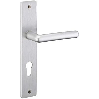 Thirard Juego de tiradores para puerta de entrada Crecy agujero de cilindro, cuadrado 7 mm, entr'axes 195 mm, anodizado plateado Thirard Juego de tiradores para puerta de entrada Crecy agujero de cilindro, cuadrado 7 mm, entr'axes 195 mm, anodizado plateado