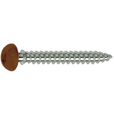 Mustad Modelo SP305A60070034C - Tornillo con Cabeza Torx Reducida - Marrón Mustad Modelo SP305A60070034C - Tornillo con Cabeza Torx Reducida - Marrón