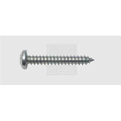 SWG Modelo 115351925 Tornillo Phillips Galvanizado - Tornillo autorroscante SWG Modelo 115351925 Tornillo Phillips Galvanizado - Tornillo autorroscante