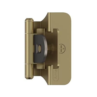 Amerock Bisagra de gabinete Superposición de 6 mm doble desmontable Champán dorado Bisagra de puerta de armario de cocina 1 par/2 paquete Hardware funcional Bisagras Amerock Bisagra de gabinete Superposición de 6 mm doble desmontable Champán dorado Bisagra de puerta de armario de cocina 1 par/2 paquete Hardware funcional Bisagras
