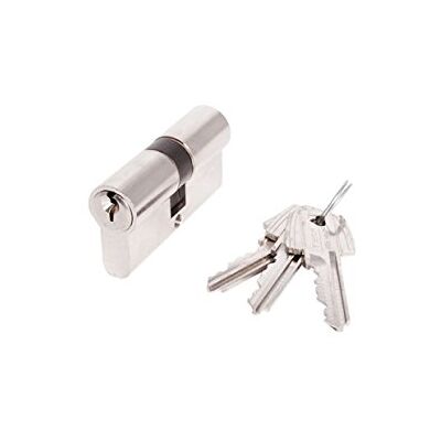 Cilindro de alta seguridad Nickel Tesa Assa Abloy - 30x60mm - 5030 Cilindro de alta seguridad Nickel Tesa Assa Abloy - 30x60mm - 5030
