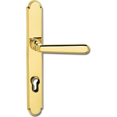 HOPPE Grundmann Alt-Wien Juego de accesorios de seguridad con placa larga (PZ 88, mango de puerta, latón pulido), color plateado HOPPE Grundmann Alt-Wien Juego de accesorios de seguridad con placa larga (PZ 88, mango de puerta, latón pulido), color plateado