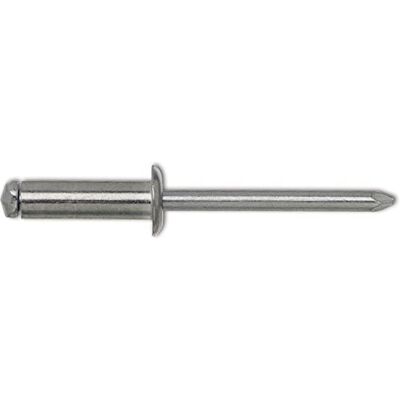 Gesipa iso15977 Petr Vancl plano redondo cabeza de aluminio con acero HSS, 4 x 20 mm, 500 unidades, Gesipa iso15977 Petr Vancl plano redondo cabeza de aluminio con acero HSS, 4 x 20 mm, 500 unidades,