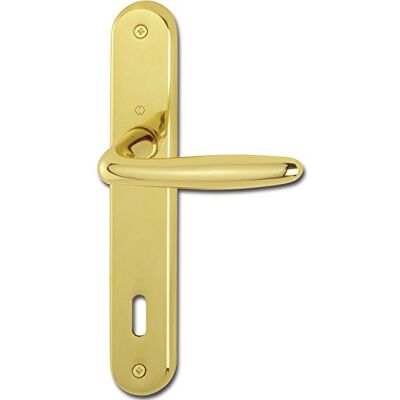 HOPPE Rossy Picaporte con placa larga (distancia 90 mm, para grosor de puerta 35-54 mm, latón pulido) HOPPE Rossy Picaporte con placa larga (distancia 90 mm, para grosor de puerta 35-54 mm, latón pulido)
