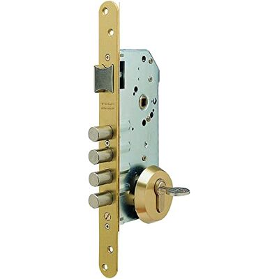 tesa Cerradura Seguridad C/Red Dor 50 Mm tesa Cerradura Seguridad C/Red Dor 50 Mm