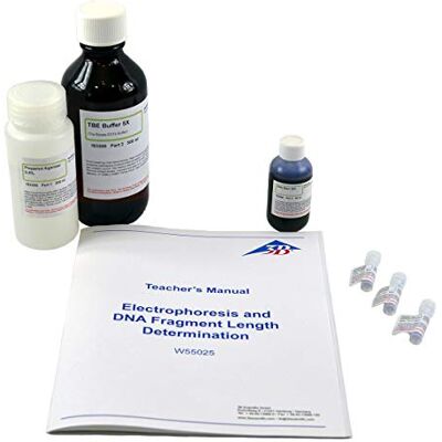 3B Scientific Kit De Experimentos: Electroforesis Y Dna Fragmento Longitud Determinación Laboratorio Actividad 3B Scientific Kit De Experimentos: Electroforesis Y Dna Fragmento Longitud Determinación Laboratorio Actividad