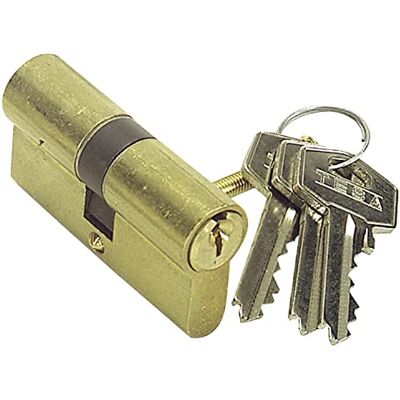 tesa Assa Abloy 50304040L Cilindro de seguridad estandar de leva larga TE5, 40 x 40 mm, Latonado tesa Assa Abloy 50304040L Cilindro de seguridad estandar de leva larga TE5, 40 x 40 mm, Latonado