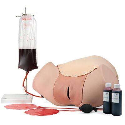 3B Scientific Entrenador de Hemorragia Postparto PPH Trainer P97 3B Scientific Entrenador de Hemorragia Postparto PPH Trainer P97