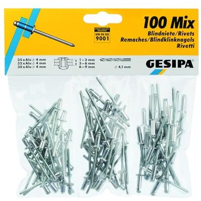 Gesipa Remaches ciegos de surtido, 100 unidades) Gesipa Remaches ciegos de surtido, 100 unidades)