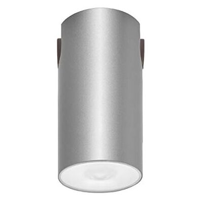 DAISALUX Luminaria estanca/o n20 230v 2 prensaestopas gris plata DAISALUX Luminaria estanca/o n20 230v 2 prensaestopas gris plata