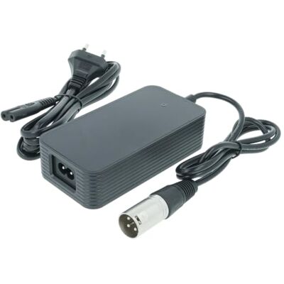 vhbw Cargador Compatible con Hagebaumarkt Bicicletas eléctricas vhbw Cargador Compatible con Hagebaumarkt Bicicletas eléctricas