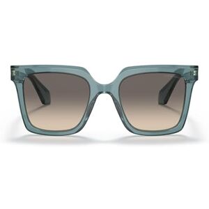 Giorgio Armani Accesorios Deportivos de Gafas de Sol Marca Unisex Adulto Giorgio Armani Accesorios Deportivos de Gafas de Sol Marca Unisex Adulto