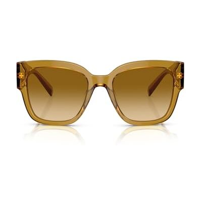 Versace Accesorios Deportivos de Gafas de Sol Marca Unisex Adulto Versace Accesorios Deportivos de Gafas de Sol Marca Unisex Adulto