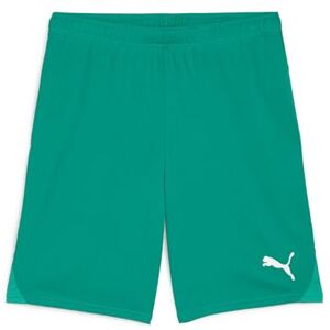 Puma XL Verdes Shorts de fútbol para hombres - Shorts Puma XL Verdes Shorts de fútbol para hombres - Shorts