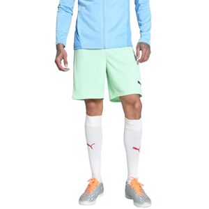 Puma teamGOAL Herren grün S - Shorts Puma teamGOAL Herren grün S - Shorts